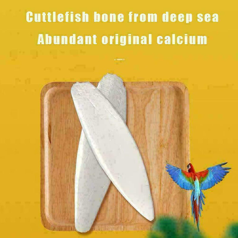 5Pcs/Set Cuttlefish Bone Cuttle Fish Bird Food Calcium HOT R9Y2 F Reptiles C6S1