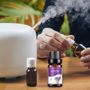 10ml Essential Oils Air Humidifier Aroma Diffuser Aromatherapy Water-soluble Oil