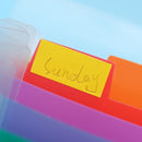 Expanding File Case Plastic File Folder Paper Organizer 13 Pockets Document Bag