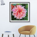 5D DIY Full Round Drill Diamond Painting Pink Flower Mosaic Rhinestone Draw