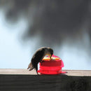 Handheld Hummingbird Feeder Mini Garden Bird Seed Food Container (Red)