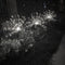 LED Solar Firework Lights Outdoor Dandelion Fairy String Lamp (Cold White) Newly