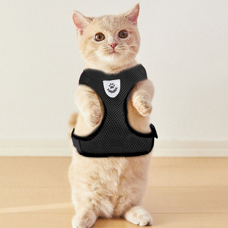 #A Polyester Cat Dog Harness Breathable Walking Lead Leash Dog Cat Vest for Outd