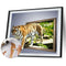 Tiger Oil Paint By Numbers Kit DIY Acrylic Painting on Canvas Drawing Picture