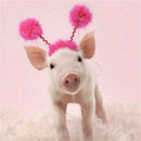 5D DIY Diamond Painting Full Round Drill Cute Pig Rhinestone Crafts Home Deco