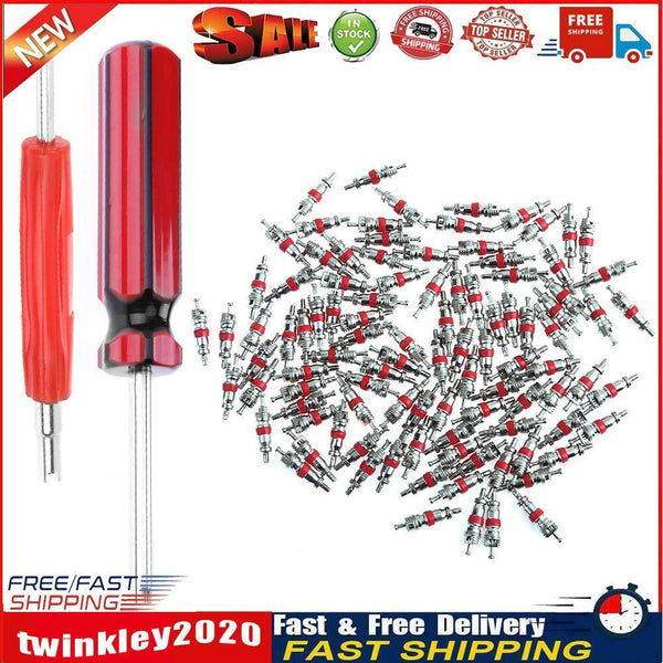 100pcs Car Motorcycle Bicycle Tire Schrader Valve Cores+ 2 Remover Tools Newly