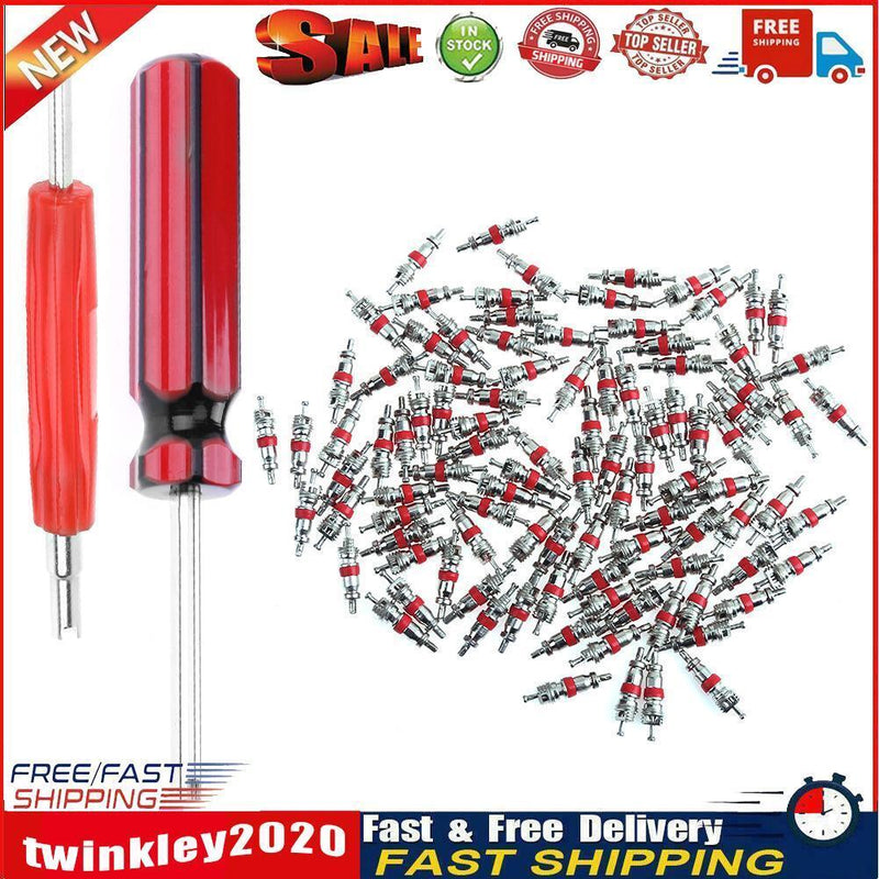 100pcs Car Motorcycle Bicycle Tire Schrader Valve Cores+ 2 Remover Tools Newly
