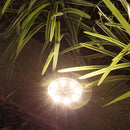 8LED Solar Underground Light Waterproof Garden Buried Lamp (Warm Light) Newly