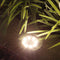8LED Solar Underground Light Waterproof Garden Buried Lamp (Warm Light) Newly
