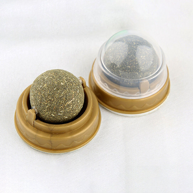 Healthy Cat Catnip Toys with Dust Cover Molar Teeth Kitten Cat Toys Pet Products