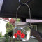 Bird Feeder Hanging Mason Jar Hummingbird Feeder for Patio Garden (Clear)
