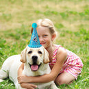 Pet Dog Birthday Hat with Number Cat Headwear Costume Party Decoration Supplies