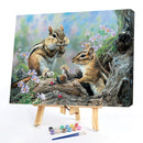 DIY Oil Paint by Numbers Squirrel Hand Painted Acrylic Coloring Picture Gift