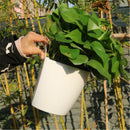 3Pcs Wall Hanging Plant Flower Pot Self-watering Plastic Planter House Garden~