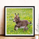 5D DIY Diamond Painting Embroidery Donkey Full Round Drill Rhinestones Crafts