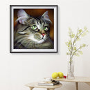 40x40cm Cat Dogs Canvas Painted Oil Paint By Numbers Wall Modern Bedroom Decor