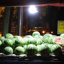 Portable Camping Solar Light Remote Control Workshop Lamp Emergency Equipment