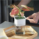 Lazy Flowerpot Transparent Hydroponic Flower Pot Soilless Home Vase (White)