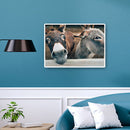 5D DIY Smile Donkey Full Round Drill Diamond Painting Art Embroidery Home Decor