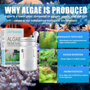 50g Aquarium Algae Repellent Agent Moss Cleaner Powder Tablet Fish Tank w/ Spoon