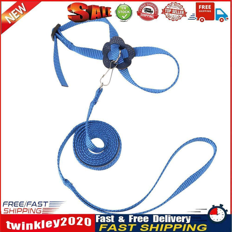 Parrot Leash Adjustable Harness Bird Anti Fly Outdoor Training Rope (Blue) Newly