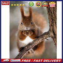 5D DIY Squirrel Full Round Drill Mosaic Diamond Painting Rhinestone Crafts Dr