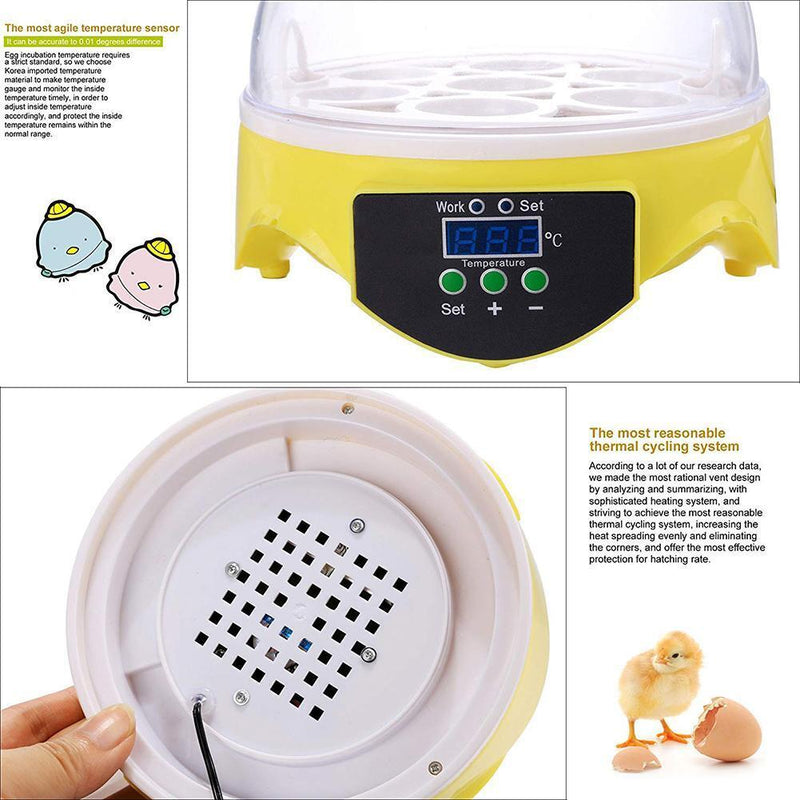 7 Egg Incubator Poultry Incubator Brooder Digital Temperature Control (US) Newly