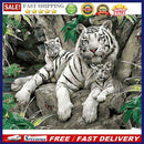 DIY Digital Oil Painting By Numbers Three Tiger Wall Picture Home Decoration