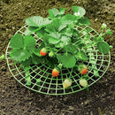 Plastic Strawberry Stand Removable Flower Pillar Vegetable Plant Rack