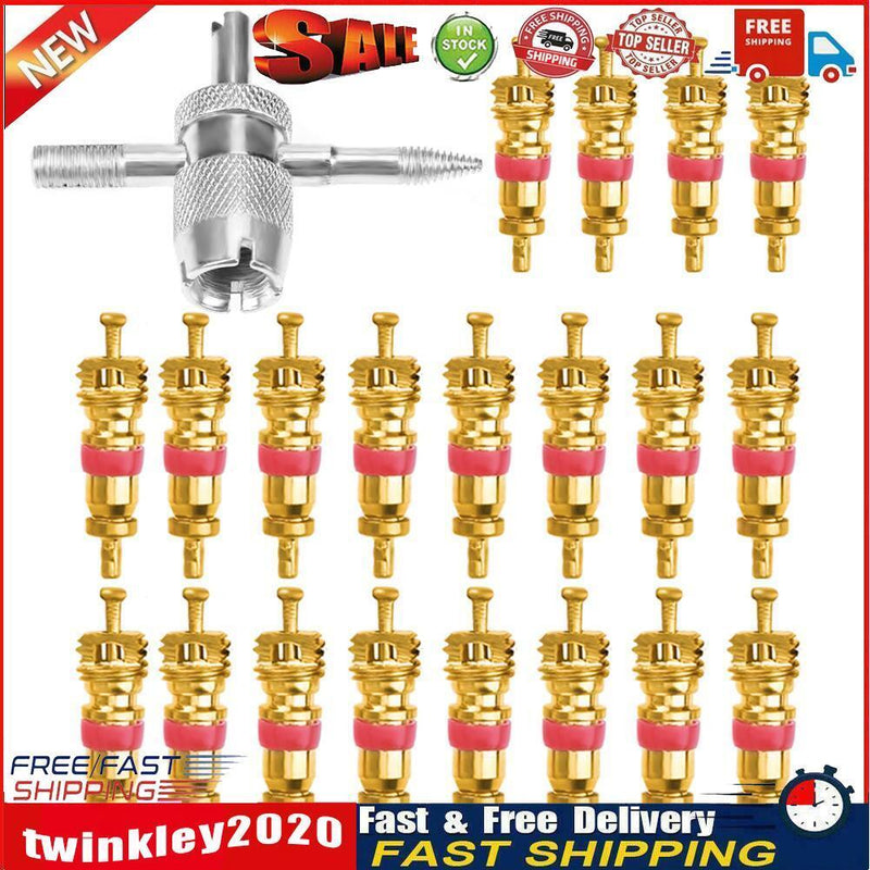 20pcs Valve Cores with 4-in-1 Tyre Tire Valve Stem Remover Repair Tool  Newly