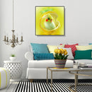 5D DIY Full Drill Diamond Painting Novelty Bird Cross Stitch Embroidery Kit