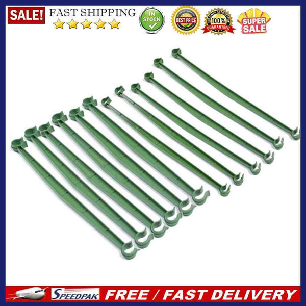 12pcs Gardening Vine Climbing Plants Bonsai Flower Cucumber Grape Rattan Su