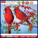 5D DIY Full Round Drill Diamond Painting Birds Women Needlework Set Home Deco
