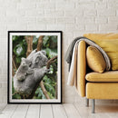 Diamond Painting 5D DIY Full Round Drill Cute Koala Embroidery Art Cross Stitch