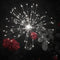 LED Solar Firework Lights Outdoor Dandelion Fairy String Lamp (Cold White) Newly