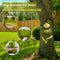 Outdoor Bird Feeding Basin Frog Tree Statue Birdbaths Feeders for Animal