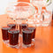 6 Shot Glass Wine Whisky Beer Dispenser Holder for Home Party (Transparent)