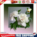 5D Diamond Painting Kit Flower out of Frame Full Round Drill Rhinestone DIY