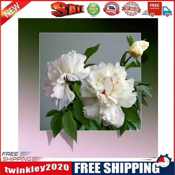 5D Diamond Painting Kit Flower out of Frame Full Round Drill Rhinestone DIY