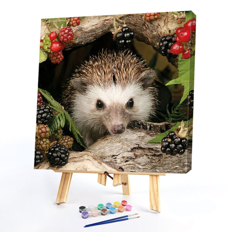Oil Painting By Numbers Acrylic Handmade Little Hedgehog Digital Picture Decor