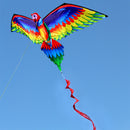 Rainbow Color Flying Parrot Kite with String Handle for Family Fun Outdoor Toys