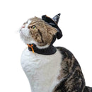 Halloween Cat Wizard Hat Products That Transform Into Hat Scarf Wizard O1V0 N0C5