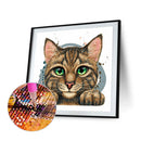 Cat Animal Series DIY Diamond Painting Kits Full Round Drill 30x30cm (A2281)