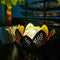 Solar LED Flower Light Artificial Hollow Lotus Garden Landscape Ornaments