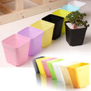 Succulent Boxplanter Plastic Plant  Trays Flower Pot Planter Tool Mini Basin
