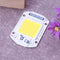 10pcs 50W LEDs Floodlights COB Chip 220V Input Integrated IC (White)