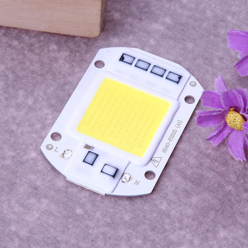 10pcs 50W LEDs Floodlights COB Chip 220V Input Integrated IC (White)