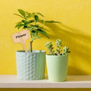 50x Wooden T-Shape Plant Labels Seed Potted Herbs Flowers Sign Tags Sticks Newly