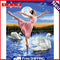 Dancers On Swan Lake 40x50cm Oil Paint By Numbers DIY SXD202106041