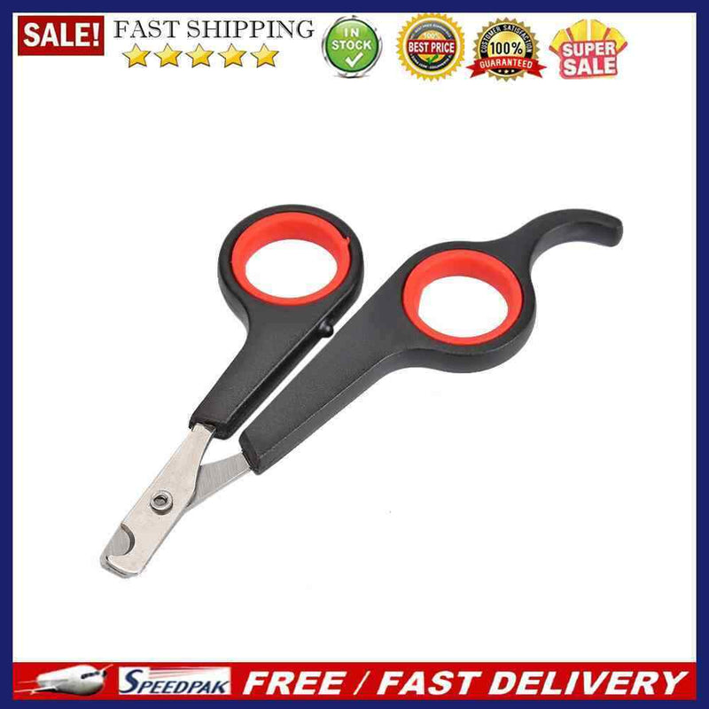Dog Stainless Steel Nail Toe Scissors for Pet Cat Rabbit Claw Grooming Clippe